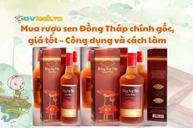 Mua rượu sen Đồng Tháp chính gốc, giá tốt – Công dụng và cách làm