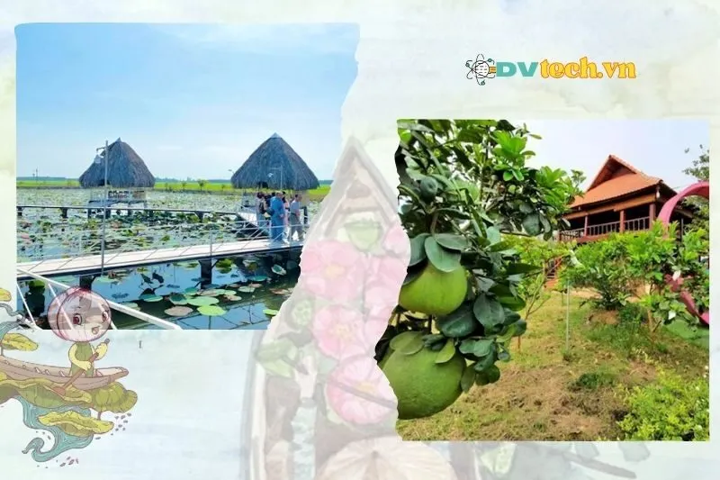 Những Hoạt Động Không Thể Bỏ Qua Khi Đến Nam Hương Đồng Tháp