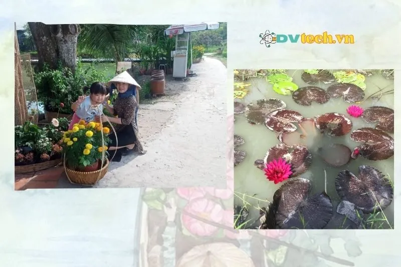 So Sánh Khu Du Lịch Sinh Thái Nam Hương Với Các Điểm Đến Khác Ở Đồng Tháp