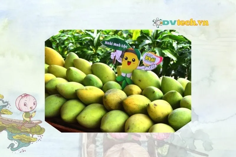 So sánh xoài Cát Chu và xoài cát Hòa Lộc Cao Lãnh
