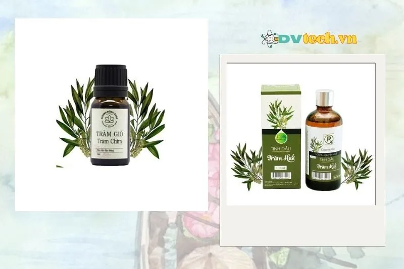 Top 3 Địa chỉ bán tinh dầu tràm Đồng Tháp chất lượng 