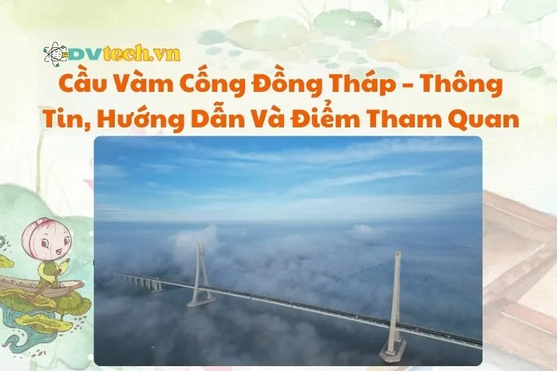 Cầu Vàm Cống Đồng Tháp – Thông Tin, Hướng Dẫn Và Điểm Tham Quan