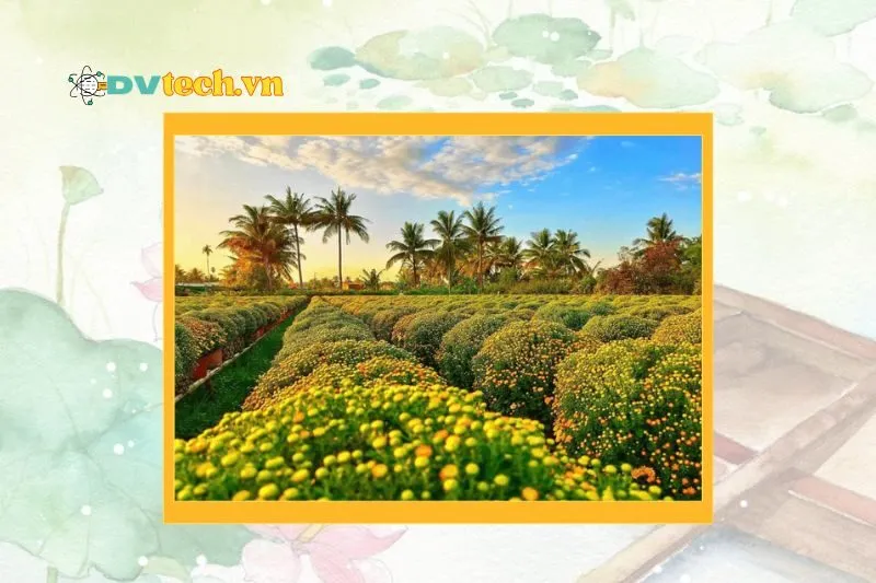 Giới thiệu về du lịch Đồng Tháp