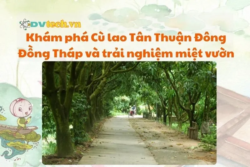 Khám phá Cù lao Tân Thuận Đông Đồng Tháp và trải nghiệm miệt vườn