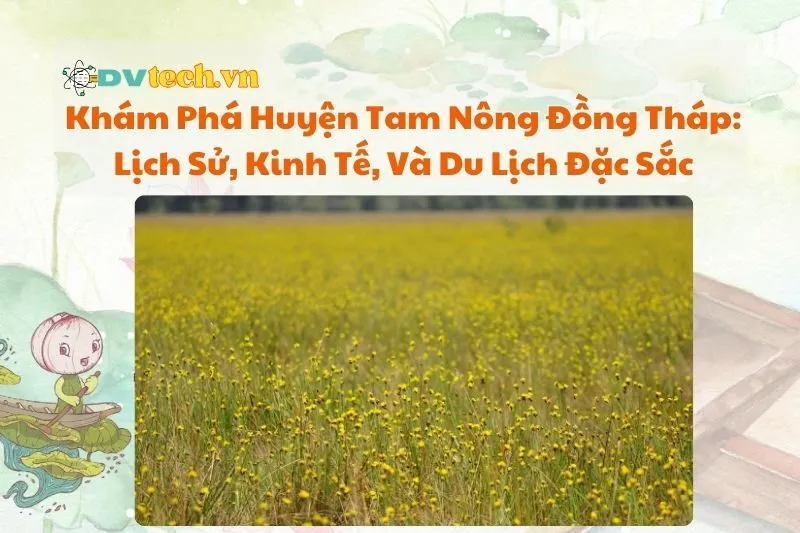 Khám Phá Huyện Tam Nông Đồng Tháp: Lịch Sử, Kinh Tế, Và Du Lịch Đặc Sắc