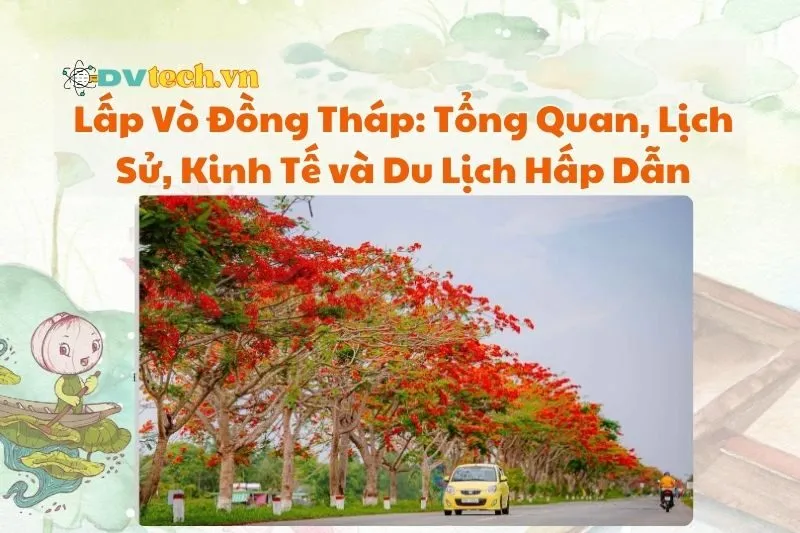 Lấp Vò Đồng Tháp: Tổng Quan, Lịch Sử, Kinh Tế và Du Lịch Hấp Dẫn