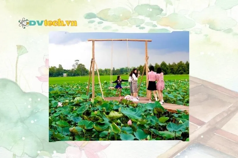 Những lưu ý khi du lịch Đồng Tháp 3 ngày 2 đêm
