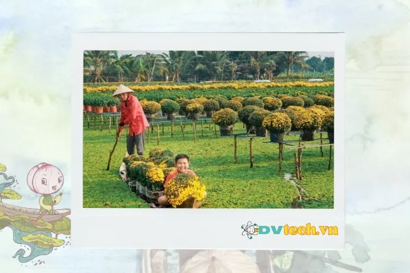 Phương tiện di chuyển khi đến Đồng Tháp