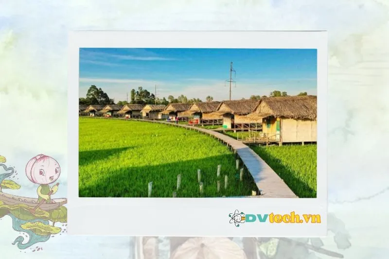 Tại sao nên chọn Cao Lãnh cho chuyến du lịch miền Tây?